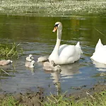 La Petite Passerelle A Mouzaive * ורס סור-סמואה
